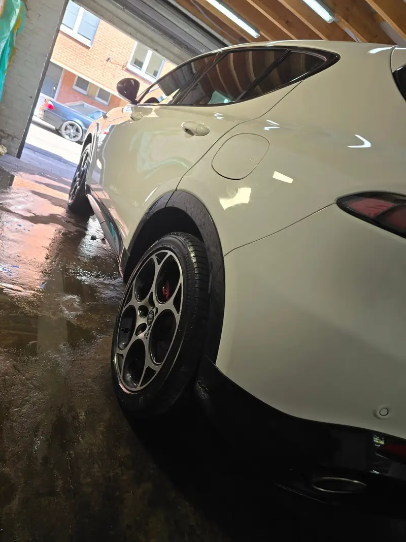 Alfa Romeo blanche entretenue toute l'année
